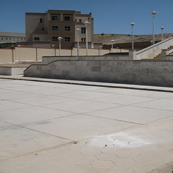 Picture2 600x600